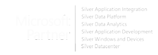 Microsoft partner